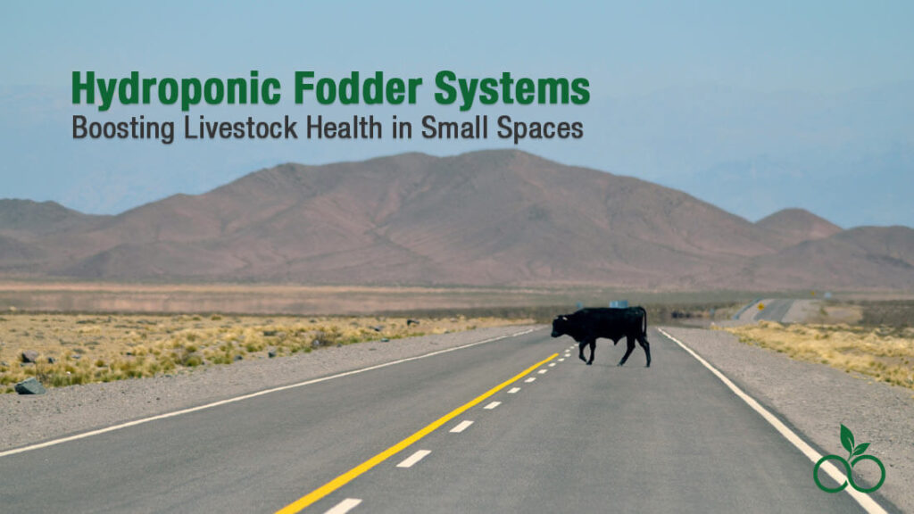 Hydroponic fodder systems agritom