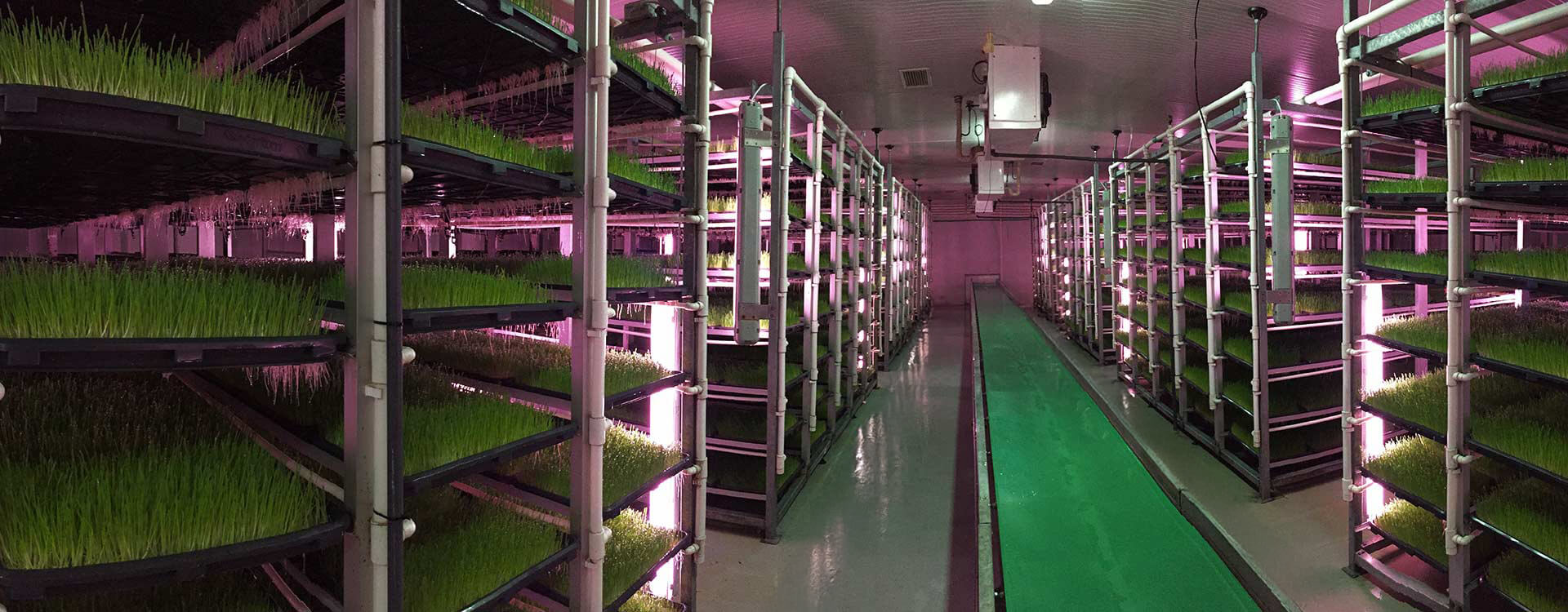 Agritom Fresh Fodder Units