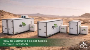 How to Estimate Fodder Needs for Your Livestock